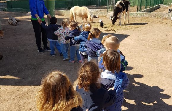 Un día en la granja escuela