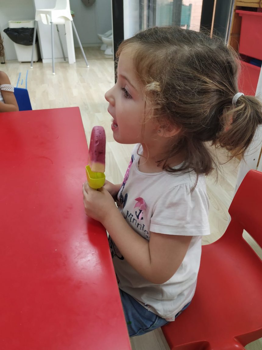 HELADOS CASEROS