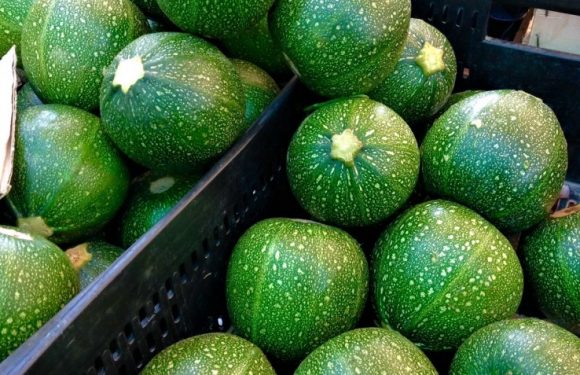 Calabacines rellenos